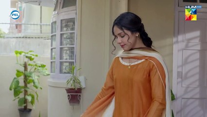 Maa Pe Ghatia Illzam....!! #sukainakhan #omershehzad - Fitna - FLO Digital