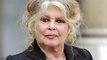 Brigitte Bardot : L’ancienne actrice condamnée à 20 000 euros d’amende pour...