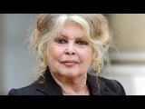 Brigitte Bardot : L’ancienne actrice condamnée à 20 000 euros d’amende pour...