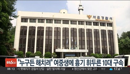 "누구든 해치려" 여중생에 흉기 휘두른 10대 구속