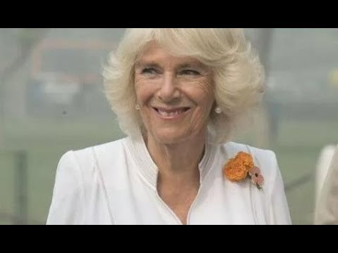 Camilla gode di una vacanza indiana di lusso, ma King Charles rimarrà nel Regno Unito quando Sunak d