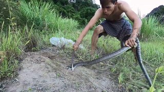 King Cobra in Action But Twist | Snake Safari