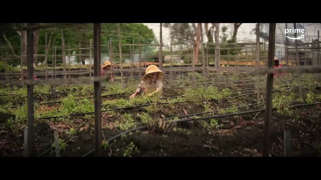 The Lost Flowers of Alice Hart - Official Trailer | Prime Video