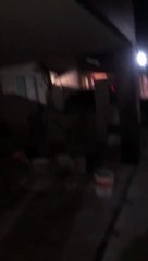 Moradora é denunciada por usar chumbinho para matar gato em condomínio de Feira de Santana