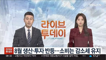 8월 생산·투자 반등…소비는 감소세 유지