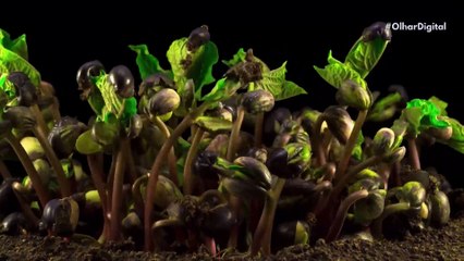 Vida extraterrestre pode estar mais perto do que imaginamos