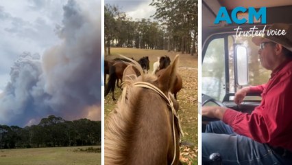 Farmer evacuates horses as NSW bushfire threatens Bega Valley property