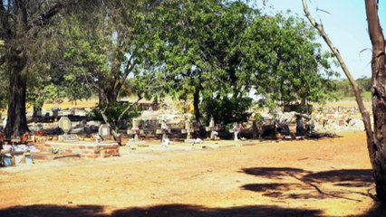 WA dog cemetery attracts tourists from around the world