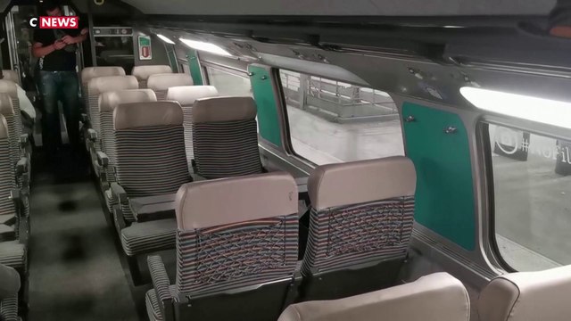 Punaises de lit : inquiétude des usagers des transports en commun