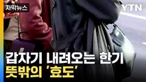 [자막뉴스] ’고이누’ 막은 한기...내일부터 날씨 급변 / YTN