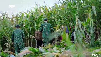 Cuộc Chiến Không Giới Tuyến - Tập 16