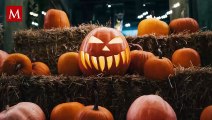 ¿Qué es la 'Spooky season' y cuándo termina? Esto sabemos de la temporada