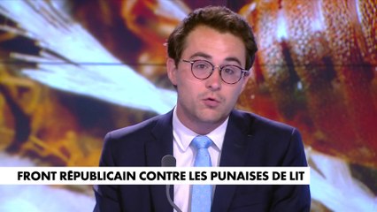 L'édito de Paul Sugy : «Front républicain contre les punaises de lit»