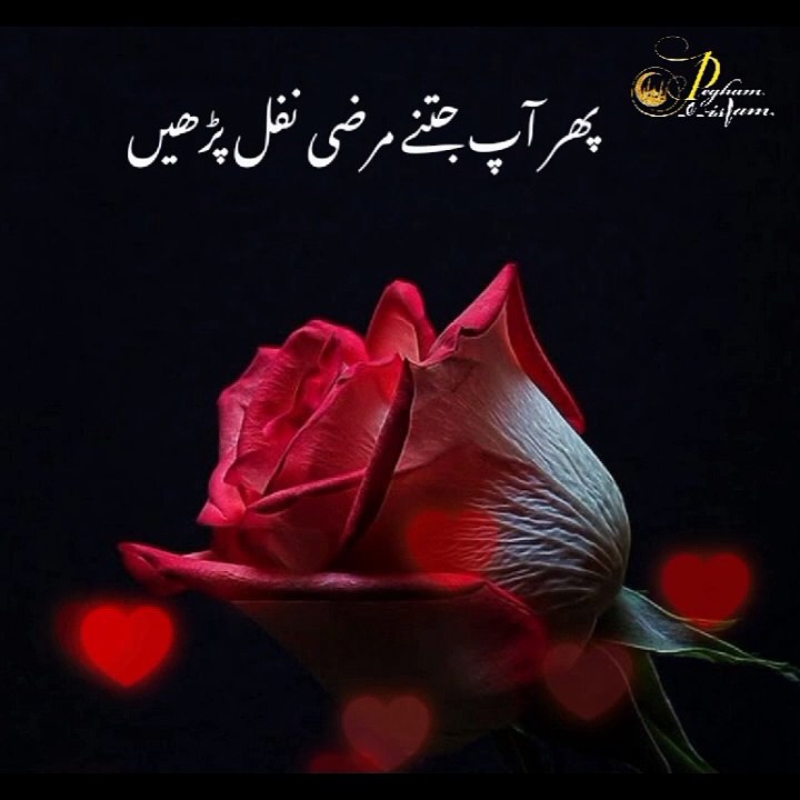 Islamic status video
