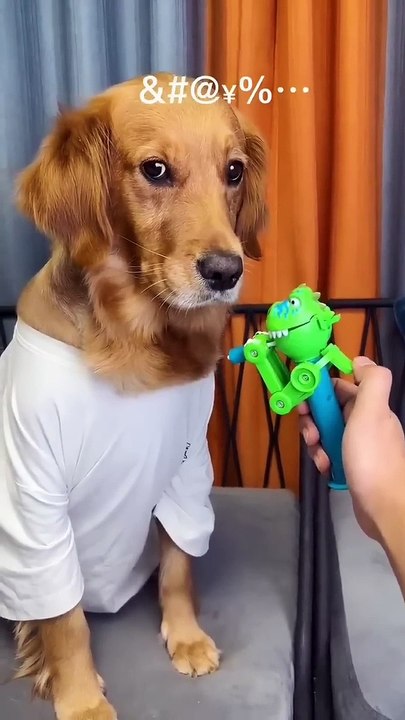 Dog: Just because I'm good natured doesn't mean I won't bite.