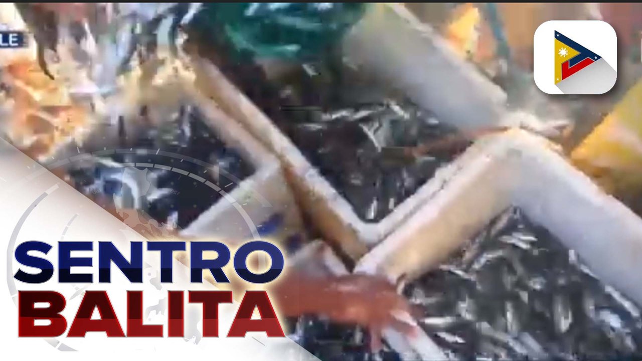 Grupo ng manufacturers, nagbabala na posibleng magkulang ang suplay ng sardinas sa bansa