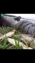 Hyperphysical Fishing Man #shorts #viral #shortsvideo #video #innovationhub