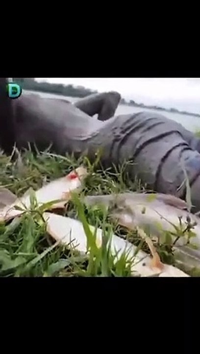 Hyperphysical Fishing Man #shorts #viral #shortsvideo #video #innovationhub