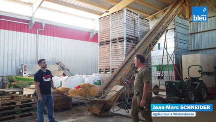 4/6 : le séchage des noix avec Jean-Marc Schneider