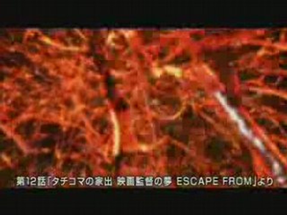 攻殻機動隊 STAND ALONE COMPLEX  「タチコマ」