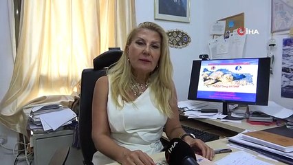 Yaklaşık 250 bin yavru kaplumbağa denizle buluştu