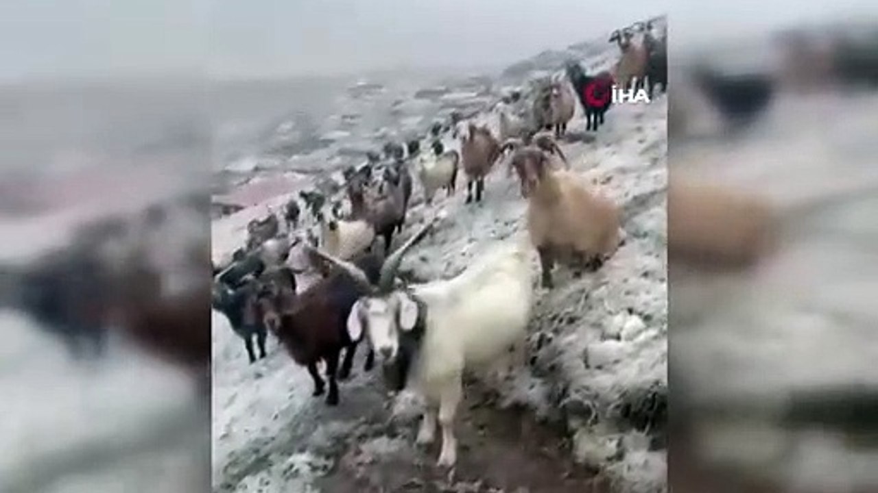 Les sommets de la région orientale de la mer Noire sont devenus blancs