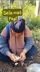 Benefits Of Salak Fruit