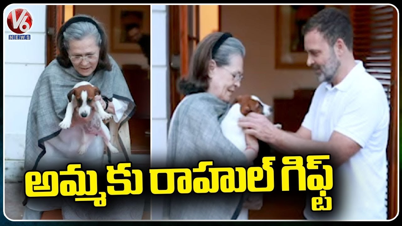 Rahul Gandhi Surprise Gift To His Mom Sonia Gandhi _ V6 News