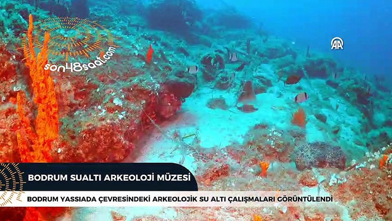 Bodrum Yassıada çevresindeki arkeolojik su altı çalışmaları görüntülendi