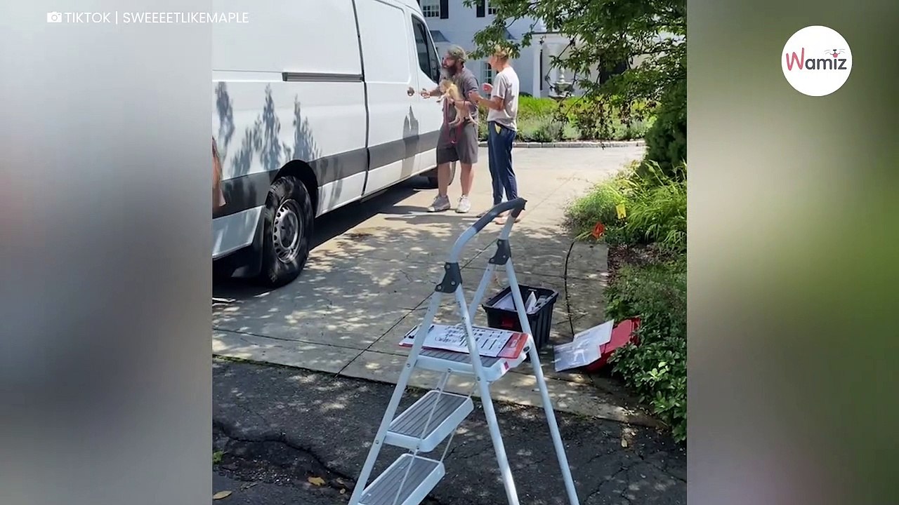 Elle adopte une petite chienne : sur TikTok, elle dévoile ses premiers instants dans sa nouvelle maison