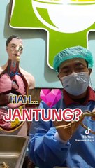 Benefits of papaya root for cardiovascular medicine