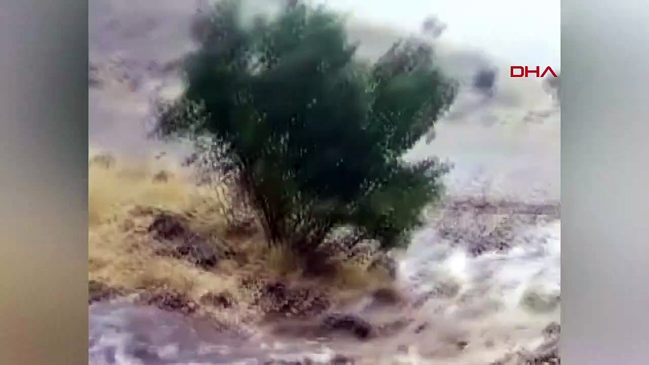 De fortes pluies ont endommagé des vergers à Mardin