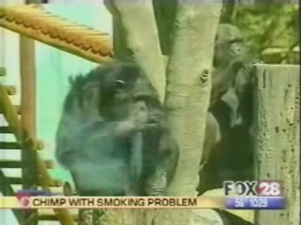 fumar puede matar