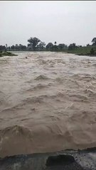 अधूरे भरे बांधों से कहीं अधूरी ना रह जाए किसानों की आस