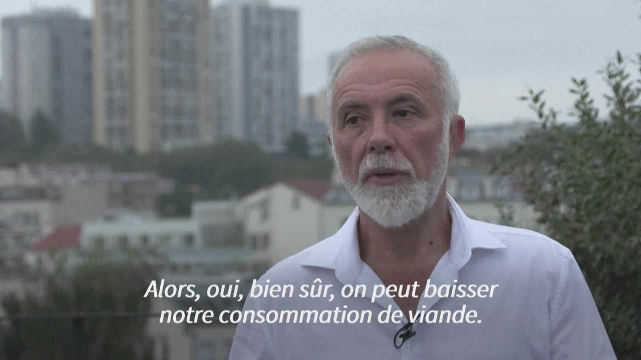 Climat : réduire sa consommation de viande pour limiter la déforestation (WWF)