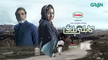 Kabli Pulao - Episode 14 - Teaser - Presented by Dalda - Powered by Tapal & Insignia - Green TV