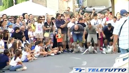 Video herunterladen: Video News - CORSA DELLE OCHE A CALVISANO