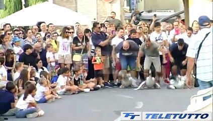 Video News - CORSA DELLE OCHE A CALVISANO