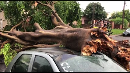 Temporal: Grande destruição é registrada no Bairro Santa Cruz