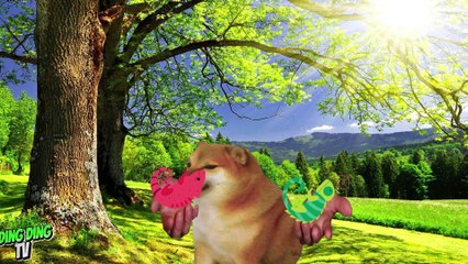 Con Tắc Kè màu xanh màu đỏ