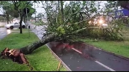 Três postes são arrancados na Rua Cuiabá e via fica parcialmente interditada