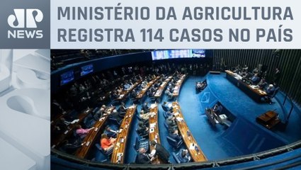 Senado aprova crédito de R$ 200 milhões para combater gripe aviária