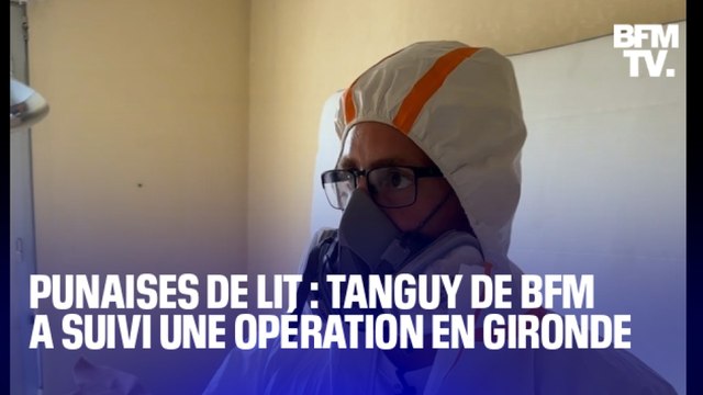 TANGUY DE BFM - Notre reporter a suivi une opération de traitement contre les punaises de lits