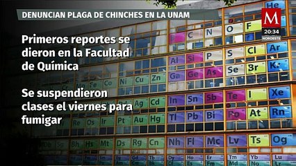 Suspensión de clases en la UNAM por plaga de chinches