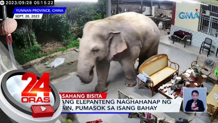 Dalawang elepanteng naghahanap ng makakain, pumasok sa isang bahay | 24 Oras