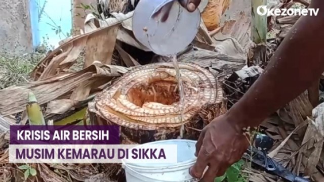 Krisis Air Bersih karena Kemarau, Warga Sikka Terpaksa Konsumsi Air Batang Pisang