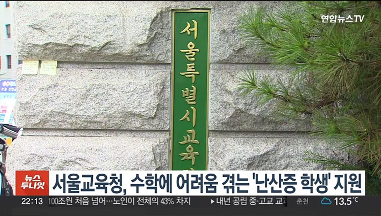 서울교육청, 수학에 어려움 겪는 '난산증 학생' 지원