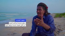 السلاحف البحرية في اليمن مهددة بالانقراض بسبب نقص الذكور نتيجة التغيّر المناخي