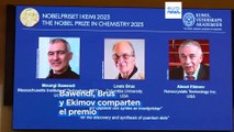 Nobel de química | Tres laureados por el descubrimiento y la síntesis de puntos cuánticos