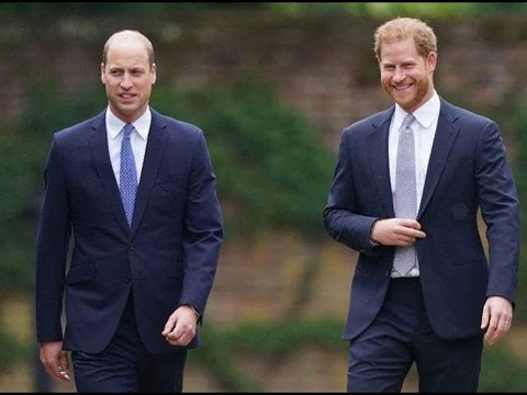Harry et William : toujours fâchés, les princes vont participer à un documentaire...